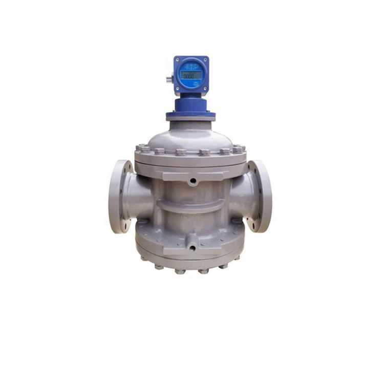 不銹鋼雙轉(zhuǎn)子流量計(jì)